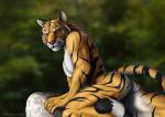 tigers