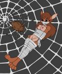 spider victims