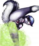 skunks spray