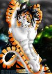 male tigers only