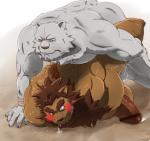 furry on furry