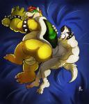 bottom bowser